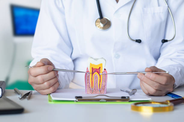 Best Emergency Treatment for Oral Infections in Las Palmas Ii, TX